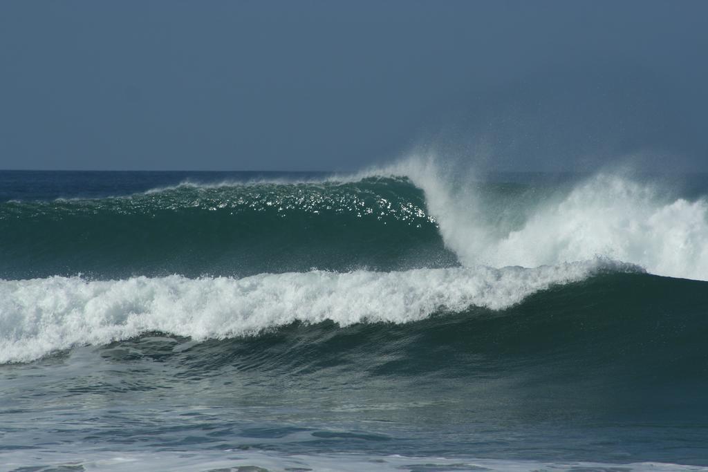 Pacifica Surf Studios Playa Santa Teresa  Exteriör bild